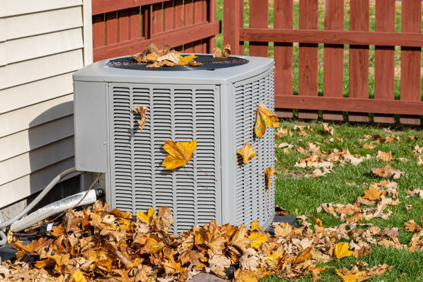 Best Best HVAC companies  in Somerton, AZ